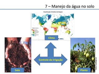 Controle da irrigação
PlantaSolo
Clima
Fotos:Embrapasd
7 – Manejo da água no solo
 