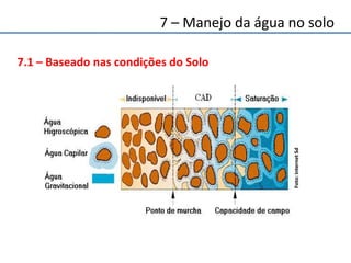 7.1 – Baseado nas condições do Solo
Foto:InternetSd
7 – Manejo da água no solo
 