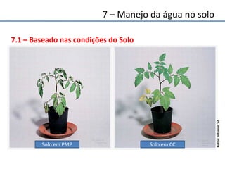 7.1 – Baseado nas condições do Solo
Solo em PMP Solo em CC
Fotos:InternetSd
7 – Manejo da água no solo
 