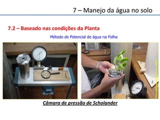 7.2 – Baseado nas condições da Planta
Câmara de pressão de Scholander
Método de Potencial de água na Folha
Fotos:EmbrapaMeioNorte,(2007)
7 – Manejo da água no solo
 
