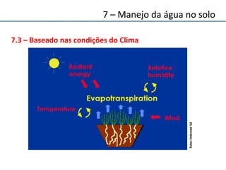 7.3 – Baseado nas condições do Clima
Foto:InternetSd
7 – Manejo da água no solo
 