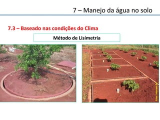 7.3 – Baseado nas condições do Clima
Método de Lisímetria
Foto:InternetSd
7 – Manejo da água no solo
 