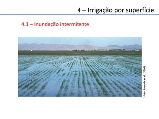 4 – Irrigação por superfície
4.1 – Inundação intermitente
Foto:Andradeetal,(2006)
 