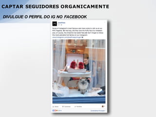DIVULGUE O PERFIL DO IG NO FACEBOOK
CAPTAR SEGUIDORES ORGANICAMENTE
 