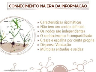 www.educacaoparamilhares.com.br

 