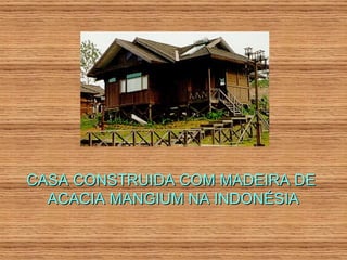 CASA CONSTRUIDA COM MADEIRA DE ACACIA MANGIUM NA INDONÉSIA 