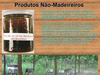 Produtos Não-Madeireiros Como as flores da espécie são melíferas (BALIEIRO et al.,2004), o néctar extrafloral pode produzir mel por abelhas do gênero Apis (BARBOSA,2002). A apicultura em povoamentos de Acácia mangium é uma atividade altamente lucrativa porque o néctar é produzido em nectários extraflorais existentes nas folhas e que produzem néctar durante toda época do ano, constituindo excelente pasto para as abelhas, principalmente na Ásia (Vietnam, Tailândia, Austrália) onde a espécie é cultivada em extensas áreas (CASTRO e CIA,s.d.). 