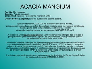 ACACIA MANGIUM  Família:  Mimosaceae Espécie:  Acacia mangium Sinonímia botânica:  Racosperma mangium Willd Outros nomes (vulgares):  acácia-australiana, acácia, cássia . aproximadamente 2.000.000 ha plantados em todo o mundo,  produções direcionadas para polpa de celulose, madeira para movelaria e construção, matéria-prima para compensados, combustível, controle de erosão, quebra-vento e sombreamento  (MARSARO JR,s.d.). A espécie é uma  leguminosa pioneira  e vem despertando a atenção dos técnicos e pesquisadores pela rusticidade, rapidez de crescimento e, principalmente, por ser espécie nitrificadora (VEIGA et al.,2000). O interesse também parte por ela apresentar significativa capacidade de adaptação às condições edafoclimáticas brasileiras (ANDRADE et al., 2000), sobretudo em solos pobres, ácidos e degradados produzindo elevada quantidade de madeira com baixa acumulação de nutrientes. Assim, a espécie destaca-se em programas de recuperação de áreas degradadas (RAD) e representa uma opção silvicultural para o Brasil (BALIEIRO et al.,2004). A acácia é uma espécie nativa da parte noroeste da Austrália, de Papua Nova-Guiné e do oeste da Indonésia. (SMIDERLE,2005). 