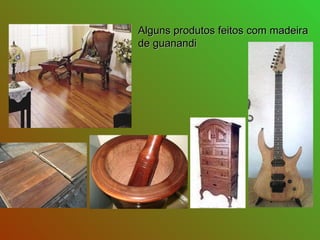 Alguns produtos feitos com madeira  de guanandi 