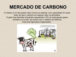 MERCADO DE CARBONO  O metano é um dos gases mais nocivos ao planeta, com capacidade 23 vezes maior do que o carbono em segurar calor na atmosfera. O gado das fazendas industriais representam 18% do total desses gases emitidos no mundo, de acordo com o relatório de 2006 da Food and Agriculture Organization.  