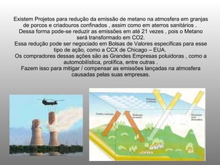 Existem Projetos para redução da emissão de metano na atmosfera em granjas de porcos e criadouros confinados , assim como em aterros sanitários .  Dessa forma pode-se reduzir as emissões em até 21 vezes , pois o Metano será transformado em CO2. Essa redução pode ser negociado em Bolsas de Valores especificas para esse tipo de ação, como a CCX de Chicago – EUA.  Os compradores dessas ações são as Grandes Empresas poluidoras , como a automobilística, prolífica, entre outras . Fazem isso para mitigar / compensar as emissões lançadas na atmosfera causadas pelas suas empresas.   