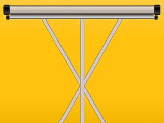 Cultura do Seguro - Universitários