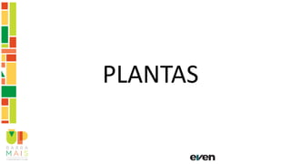 PLANTAS
 