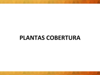 PLANTAS COBERTURA 
 
