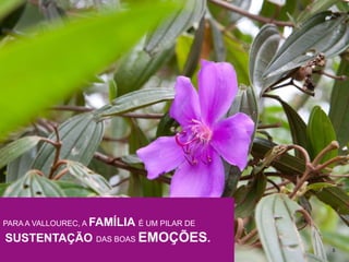 5 
PARA A VALLOUREC, A FAMÍLIA É UM PILAR DE 
SUSTENTAÇÃO DAS BOASEMOÇÕES. 
 