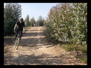 Apresentação valongo