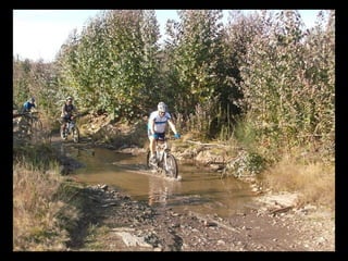 Apresentação valongo
