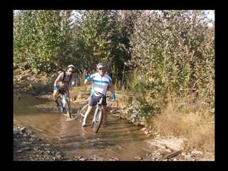 Apresentação valongo