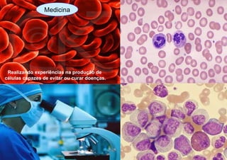Realizando experiências na produção de  células capazes de evitar ou curar doenças. Medicina Medicina 