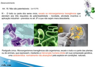Art. 18. Não são patenteáveis: III -  O todo ou parte dos seres vivos,  exceto os microorganismos transgênicos  que atendam aos três requisitos de patenteabilidade - novidade, atividade inventiva e aplicação industrial – previstos no art. 8º e que não sejam mera descoberta. Parágrafo único. Microorganismos transgênicos são organismos, exceto o todo e a parte das plantas ou de animais, que expressem, mediante a  intervenção humana direta  em sua composição genética, uma  característica  normalmente não alcançável  pela espécie em condições  naturais. Desenvolvimento (Lei 9.279) 