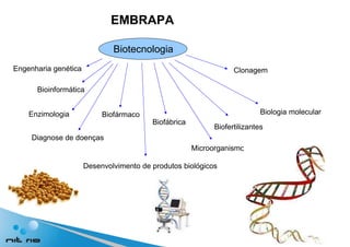 EMBRAPA Biofábrica Biofármaco Biofertilizantes Bioinformática Clonagem Diagnose de doenças Biologia molecular Desenvolvimento de produtos biológicos Microorganismo Biotecnologia   Engenharia genética Enzimologia 