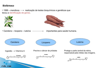 Biofármaco 1996 – mandioca  realização de testes bioquímicos e genéticos que levou a  identificação de genes .  Caroteno – licopeno – luteína  importantes para saúde humana. Ingestão  Vitamina A Caroteno Luteína Licopeno Previne o câncer de próstata Protege a parte central da retina, responsável pela nitidez das imagens. 