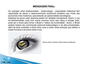 As sinergias entre biodiversidade - biotecnologia - propriedade intelectual têm capacidade de elevar o desenvolvimento econômico brasileiro aos níveis das economias mais modernas, aproveitando as oportunidades tecnológicas. Espécies de pouco valor aparente podem ter utilidade inimaginável. Assim, o uso da biodiversidade, junto com outros recursos como solo, água e energia solar, pode ser a chave para tornar o Brasil o “celeiro da humanidade”. Assim, o Brasil poderá realizar seu reconhecido potencial biotecnológico e de alta produtividade, além de tanto combater a fome como curar e evitar várias doenças que afetam a saúde humana e de outros seres vivos. MENSAGEM FINAL: Afonso Celso Candeira Valois (texto modificado) 