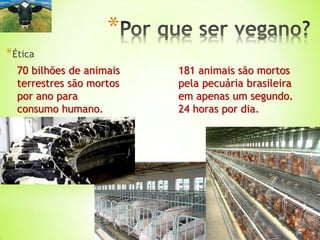*Ética
*
70 bilhões de animais
terrestres são mortos
por ano para
consumo humano.
181 animais são mortos
pela pecuária brasileira
em apenas um segundo.
24 horas por dia.
 