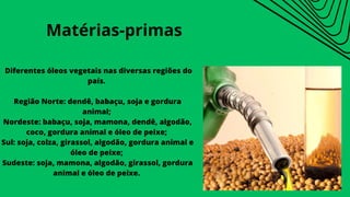 Diferentes óleos vegetais nas diversas regiões do
país.
Região Norte: dendê, babaçu, soja e gordura
animal;
Nordeste: babaçu, soja, mamona, dendê, algodão,
coco, gordura animal e óleo de peixe;
Sul: soja, colza, girassol, algodão, gordura animal e
óleo de peixe;
Sudeste: soja, mamona, algodão, girassol, gordura
animal e óleo de peixe.
Matérias-primas
 