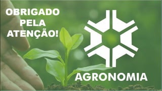 biodiesel no Brasil