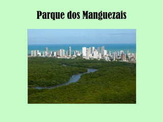 Parque dos Manguezais
 
