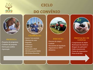 PROPOSTA
- Pesquisa de programas
- Cadastro da proposta
- Envio para análise
- Aprovação
CELEBRAÇÃO
- Gerar nº de convênio
- Abertura de conta
- Empenho
- Assinatura
- Publicação
- Envio para o Siafi
- DH (Documento Hábil)
- OB (Ordem Bancária)
EXECUÇÃO
- Processo de compra
- Contrato
- Documento de liquidação
- Pagamento ou OBTV
- Relatórios
PRESTAÇÃO DE
CONTAS
- Cumprimento do objeto
- Realização dos objetivos
- Resgate das aplicações*
- Saldo remanescente
- Termo de compromisso
- Prazo de 60 dias
CICLO
DO CONVÊNIO
 