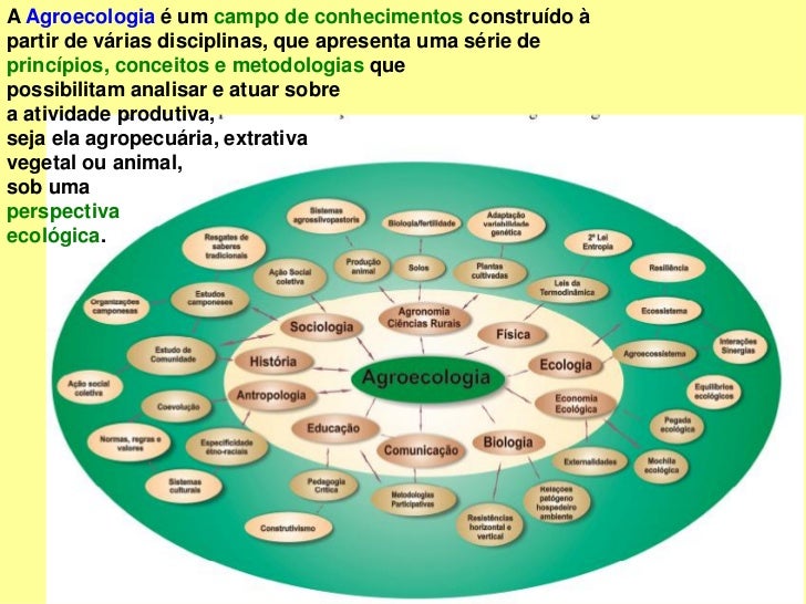 Dia 4 - SAFs na perspectiva da Agroecologia - Extensão rural e SAFs n…