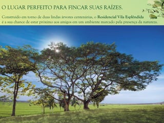 O LUGAR PERFEITO PARA FINCAR SUAS RAÍZES.
Construído em torno de duas lindas árvores centenárias, o Residencial Vila Esplêndida
é a sua chance de estar próximo aos amigos em um ambiente marcado pela presença da natureza.
 