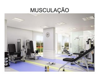 MUSCULAÇÃO
