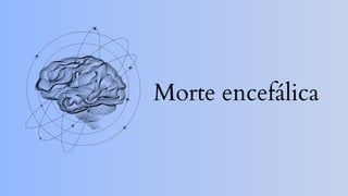 Morte encefálica
 