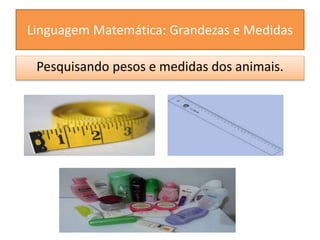 Linguagem Matemática: Grandezas e Medidas 
Pesquisando pesos e medidas dos animais. 
 