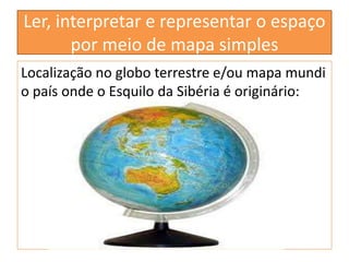 Ler, interpretar e representar o espaço 
por meio de mapa simples 
Localização no globo terrestre e/ou mapa mundi 
o país onde o Esquilo da Sibéria é originário: 
 