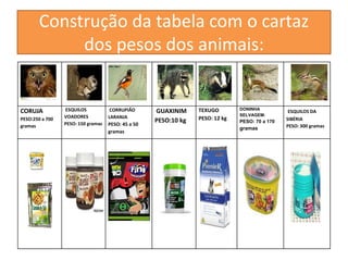 Construção da tabela com o cartaz 
dos pesos dos animais: 
CORUJA 
PESO:250 a 700 
gramas 
ESQUILOS 
VOADORES 
PESO: 150 gramas 
CORRUPIÃO 
LARANJA 
PESO: 45 a 50 
gramas 
GUAXINIM 
PESO:10 kg 
TEXUGO 
PESO: 12 kg 
DONINHA 
SELVAGEM: 
PESO: 70 a 170 
gramas 
ESQUILOS DA 
SIBÉRIA 
PESO: 300 gramas 
 