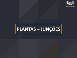 PLANTAS – JUNÇÕES

 
