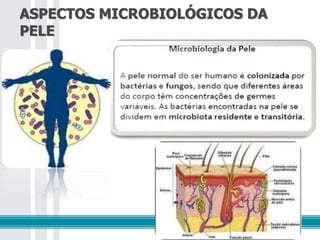ASPECTOS MICROBIOLÓGICOS DA
PELE
 