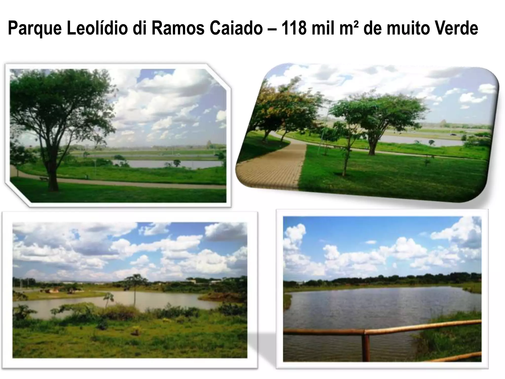 Parque Leolídio di Ramos Caiado – 118 mil m² de muito Verde