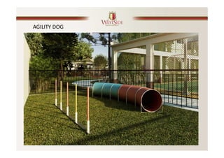 AGILITY DOG
 
