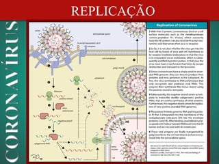 REPLICAÇÃO
 
