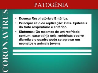 PATOGÊNIA

• Doença Respiratória e Entérica.
• Principal sítio de replicação: Cels. Epiteliais
  do trato respiratório e entérico.
• Sintomas: Os mesmos de um resfriado
  comum, caso atinja cels. entéricas ocorre
  diarréia e o quadro pode se agravar em
  neonatos e animais jovens.
 