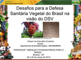 Desafios para a Defesa 
Sanitária Vegetal do Brasil na 
visão do DSV 
Foto: http://www.projetoreca.com.br/bbrr//site/?ssiittee//??ppaaggee__page_id=iidd==9988 
98 
Cósam de Carvalho Coutinho 
Diretor 
Departamento de Sanidade Vegetal – DSV/SDA/MAPA 
WORKSHOP “AMEAÇAS FITOSSANITÁRIAS PARA O 
BRASIL” 
Brasília - DF 
26 a 30 de março de 2012 
 