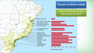 Hotspots de Biodiversidade 
Um dos 17 locais da MA com 
maior riqueza de espécies 
 