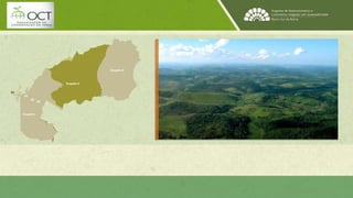 Ecopolo I 
Ecopolo II 
01 
02 
03 
04 
Ecopolo III 
 