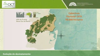 Cobertura 
Florestal 1970 
98.000 hectares 
Evolução do desmatamento 
 