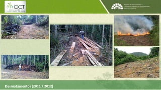 Desmatamentos (2011 / 2012) 
 